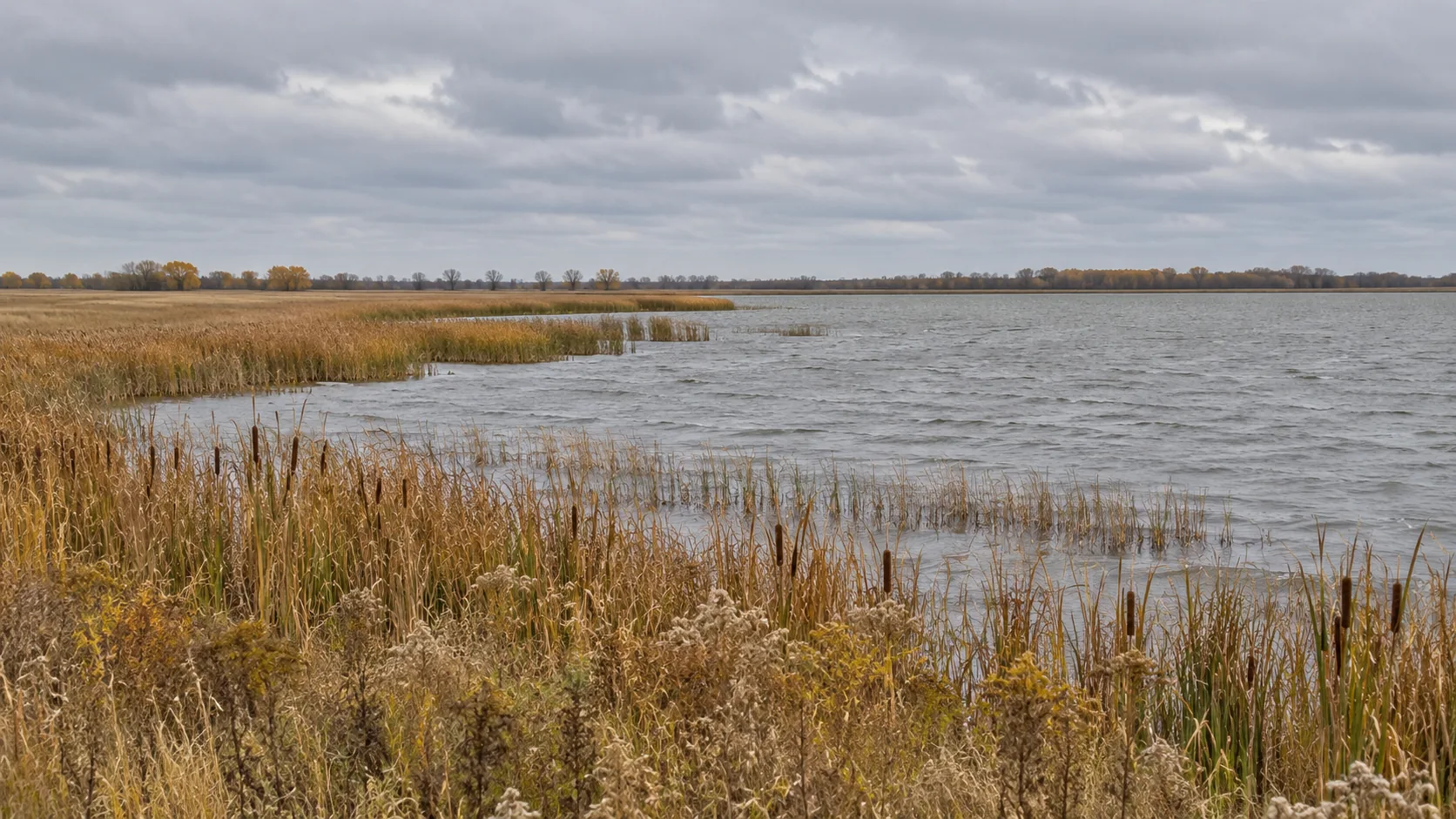 The shoreline of Silver Lake near Lake Park, Iowa in autumn